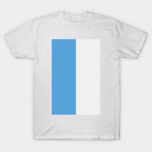 Manchester City Sky Blue and White Half design T-Shirt